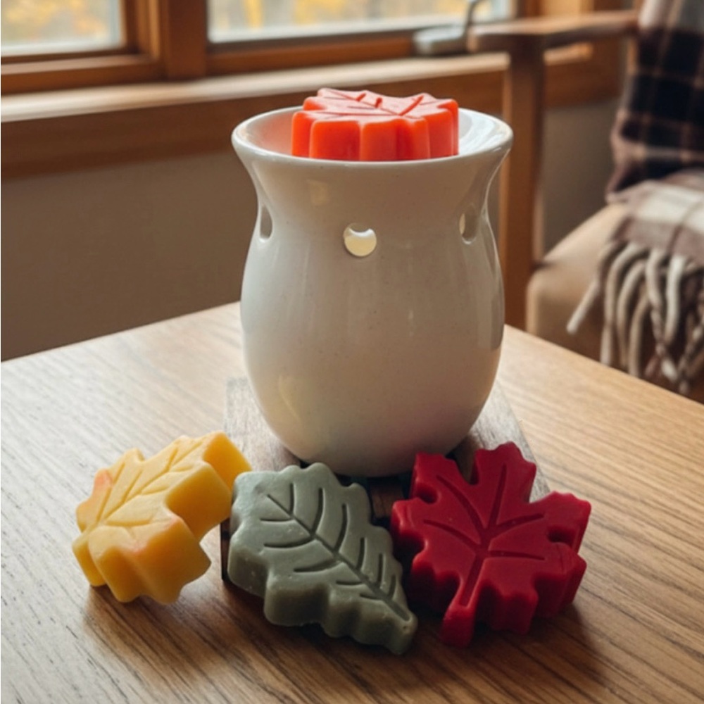 Autumn in the Park Wax Melts- 100% Soy
